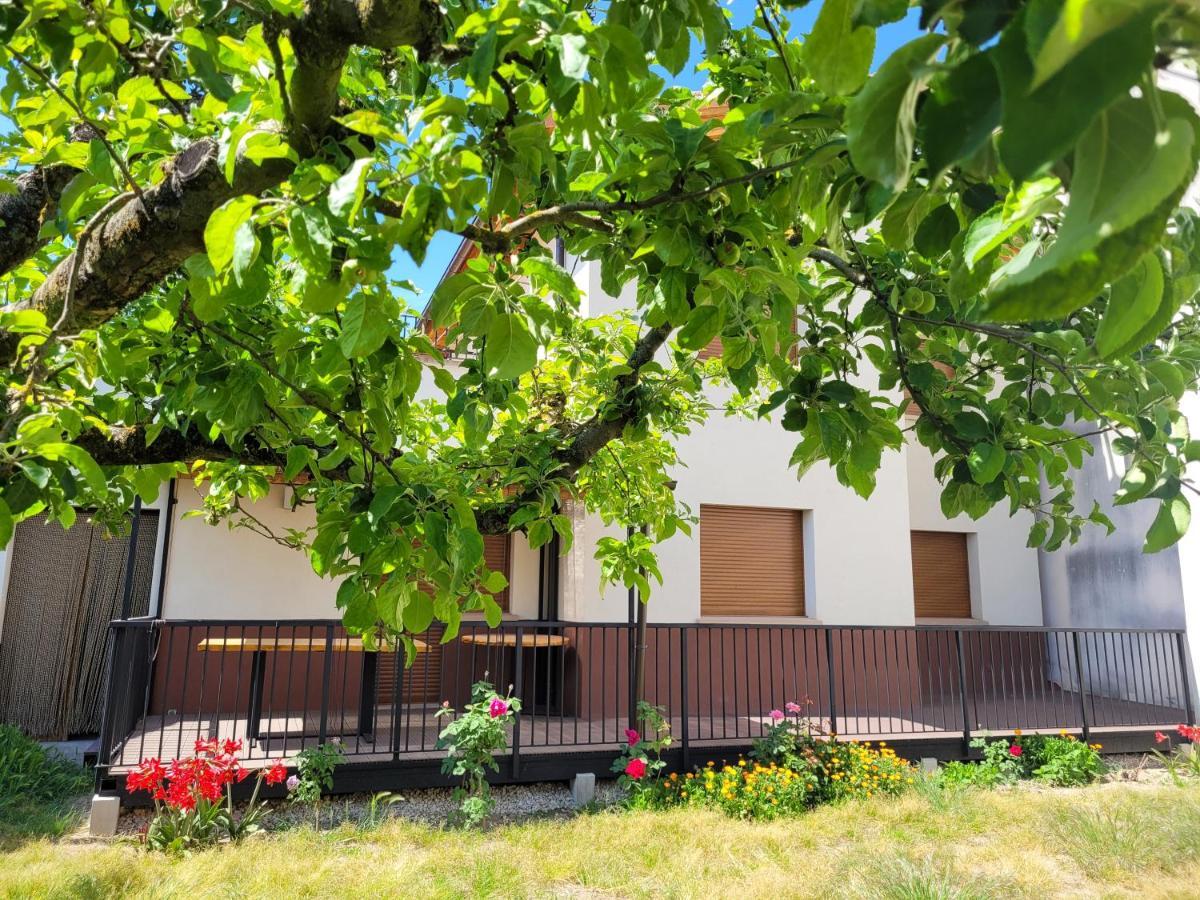 Casa Julio, Bonita Casa Comoda Y Espaciosa, Totalmente Reformada Con Terraza Y Jardin Privado Riezu 외부 사진
